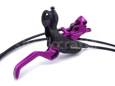 Limited Edition Purple Hayes Dominion Brakes